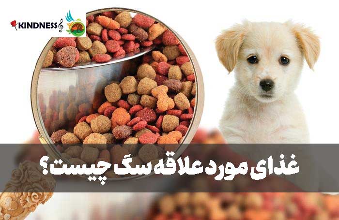 غذای مورد علاقه سگ چیست
